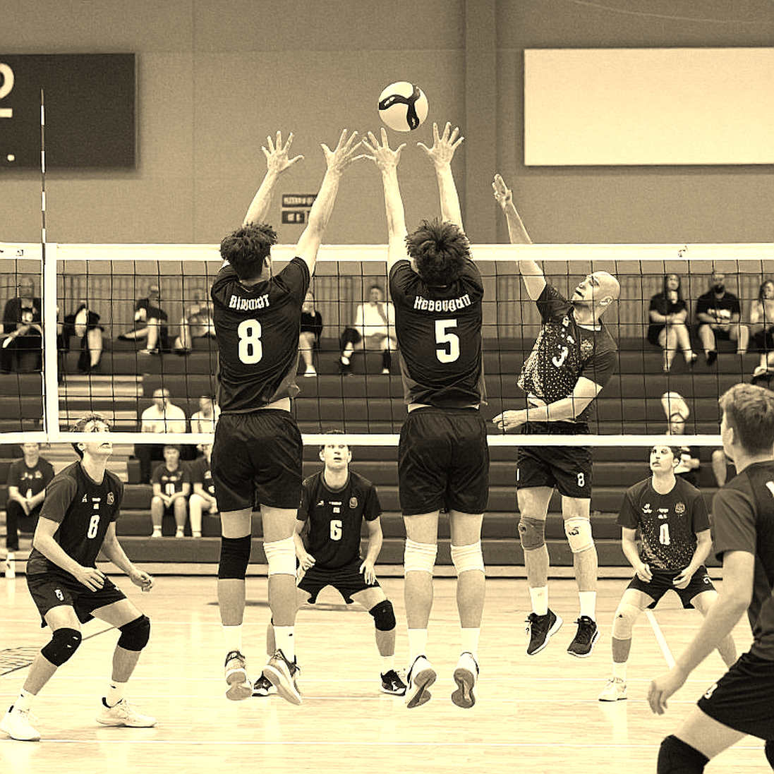Vietnam Women's Volleyball: The Data Gap Behind Every Round of Applause
