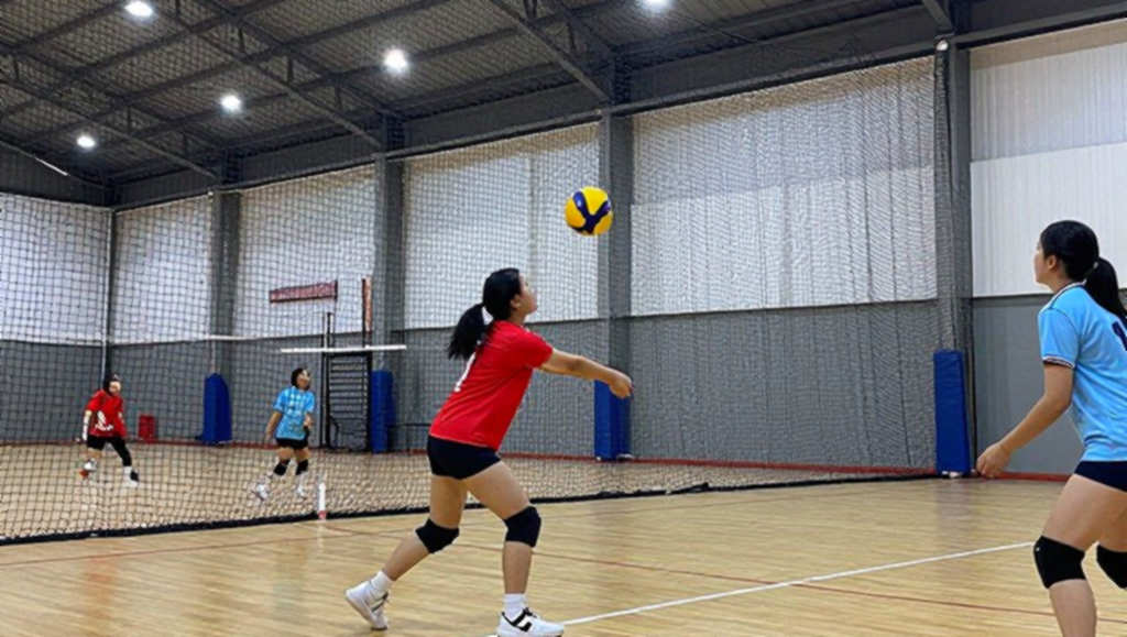 Sáu ngày, 27 trận và một sân bóng chày: bóng chuyền nữ đại học Mỹ bước vào vùng kiểm định thể lực
