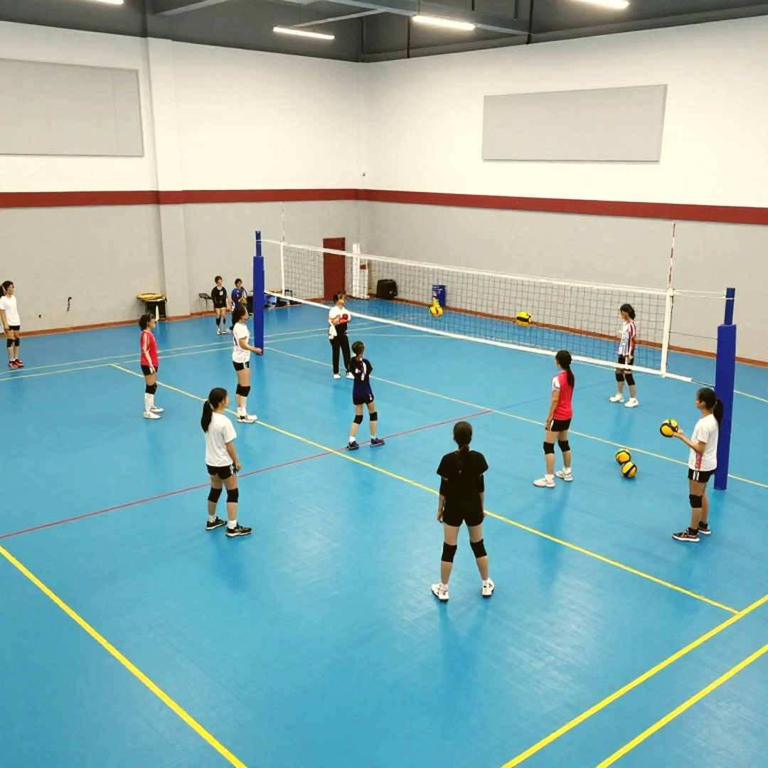 Bản phân tích trống và kỷ luật im lặng của người đọc dữ liệu bóng chuyền
