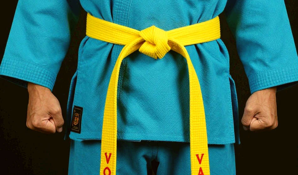 Martial Arts Is Not One Sport: Three Scoreboards Read With One Ruler Martial Arts Is Not One Sport: Three Scoreboards Read With One Ruler