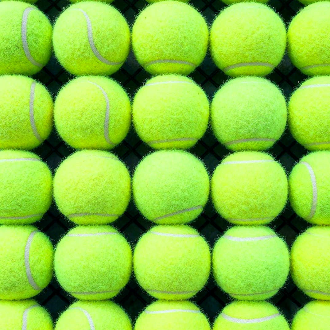 Shelton surges to third, Tiafoe closes in on Turin spots: The Live Race gets repriced after the US Open Shelton surges to third, Tiafoe closes in on Turin spots: The Live Race gets repriced after the US Open